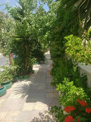 Gallery image of Alotaibi building # 6 in Amman