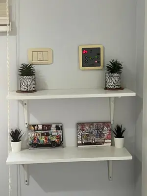 a shelf with two potted plants and a clock at Cozy & Comfortable Studio in the heart of Amman, Studio #17 in Umm Uthainah