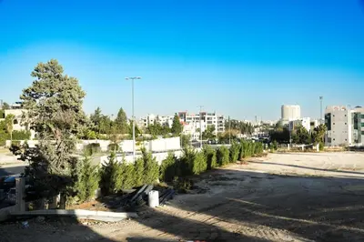 a row of christmas trees in a parking lot at Hawari Group in Umm Uthainah