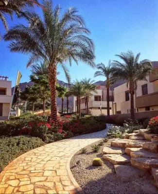 a walkway with palm trees in front of a building at Alraha village-aqaba قرية الراحة- مرسى زايد -العقبة in Aqaba
