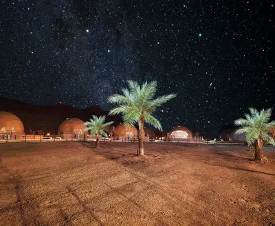 a group of palm trees in a field at night at Eagle Rum Camp in Disah