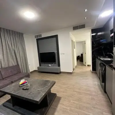 central apartment for rent 17