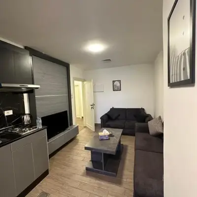 central apartment for rent 18