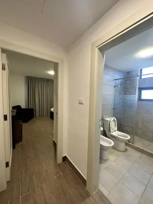a bathroom with a toilet and a shower and a sink at central apartment for rent 21 in Amman