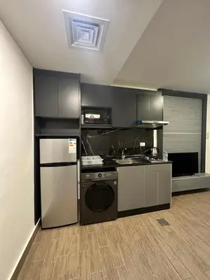 a kitchen with a stove and a dishwasher at central apartment for rent 21 in Amman