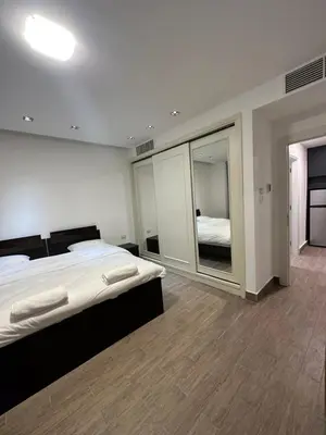 a bedroom with a large bed and a mirror at central apartment for rent 21 in Amman