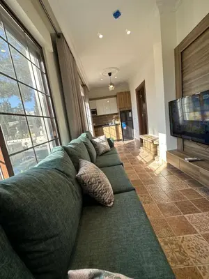 a living room with a green couch and a television at 9 Antica jabalal-lwebdeh in Amman