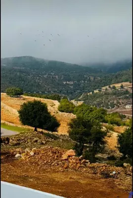 a view of a hill with trees on it at منتجع الحور in Ajloun