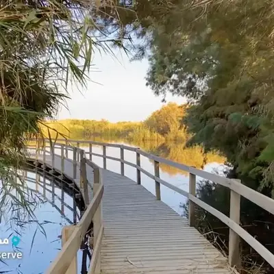 Azraq Lodge