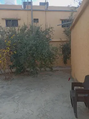 an orange tree in front of a building at Hello hostel in Amman