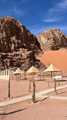 a desert with umbrellas and trees in the sand at Monica Wadi Rum in Wadi Rum