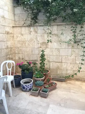 a group of potted plants sitting next to a stone wall at Happy Family Home with Spacious Garden in Amman