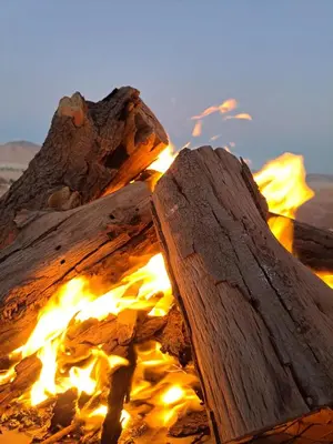 a fire pit with a piece of wood and flames at واي رم in Wadi Rum