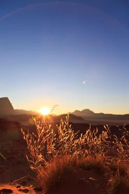 a sunset in the desert with grass in the foreground at Panorama Wadi Rum Sunset Camp in Wadi Rum