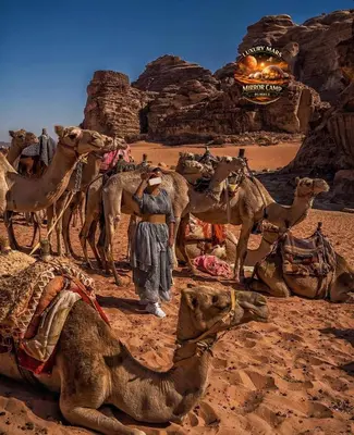 a man standing next to a group of camels in the desert at MARS MIRROR BUBBLE lUXURY CAMP in Wadi Rum
