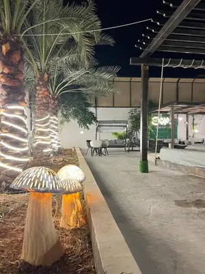 a park with a palm tree and a mushroom bench at Eva chalet in Deadsea in Al Kafrayn