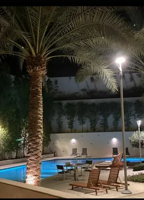 a palm tree next to a pool with tables and chairs at Al RAHA village - Aqaba أستوديو بقرية الراحه العقبة مرسى زايد in Aqaba