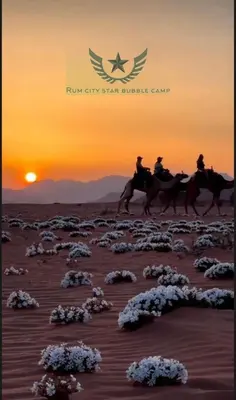three people riding horses in the desert at sunset at RUM CITY STAR BUBBLE lUXURY CAMP in Wadi Rum