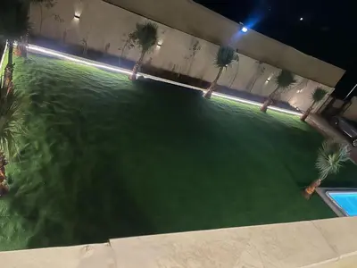 an overhead view of a swimming pool with palm trees at the royal occasion amman in Amman