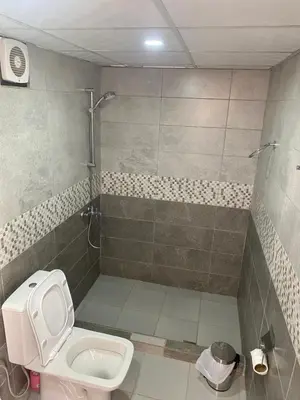 a small bathroom with a toilet and a shower at Al Jawhara Luxury Camp in Wadi Rum