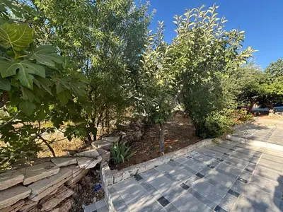 a garden with trees and a stone wall at Leith Holiday Home in ‘Ayn Jannā