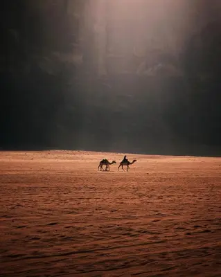 two people are riding horses on the beach at Wadi Rum Thamer in Wadi Rum