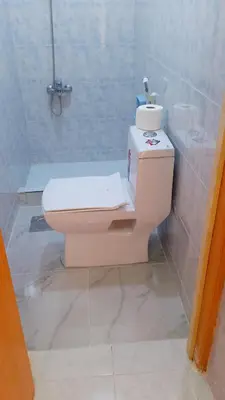 a bathroom with a toilet and a shower at WaterMill House in Wadi Musa