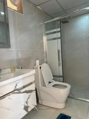 a bathroom with a toilet and a sink and a shower at RUM CAMILLA lUXURY CAMP in Wadi Rum