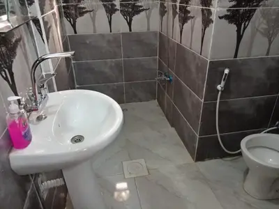 a bathroom with a sink and a toilet at Dana Moon hostel in Dana