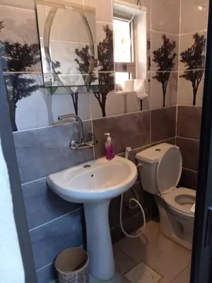 a bathroom with a sink and a toilet at Dana Moon hostel in Dana