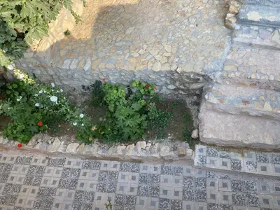 an overhead view of a stone pathway with plants at Dana Moon hostel in Dana