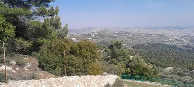 a view of a valley from a hill with trees at Offgrid Jerash-Ajlune MountainView Studio Shalea شاليه استوديو جبال جرش in Jerash