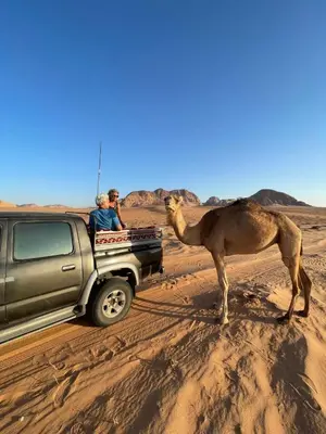 a camel standing next to a truck in the desert at Wadi Rum Paris Cave in Wadi Rum