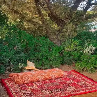 اذرح فارم
