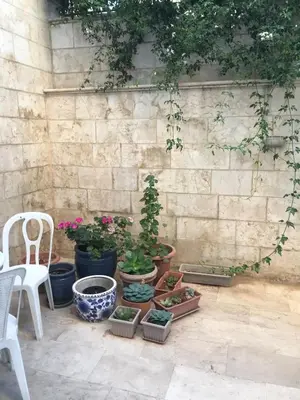 a group of potted plants sitting next to a stone wall at Happy Family Home with Spacious Garden in Amman