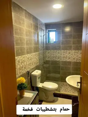 a bathroom with a toilet and a sink at Falcon Real Estate in Amman
