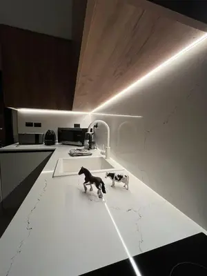 a kitchen with a dog figurines on a kitchen counter at Falcon Real Estate in Amman