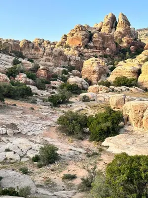a rocky mountain with shrubs and trees on it at Jordan trail from dana to petra in Dana