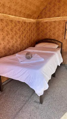a cat laying on top of a bed at Wanderlust Jordan Camp in Wadi Rum