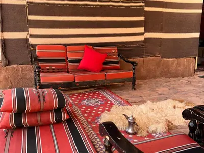 a couch and a dog laying on a rug at Wanderlust Jordan Camp in Wadi Rum