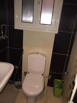 a bathroom with a white toilet and a sink at birds House in Jerash