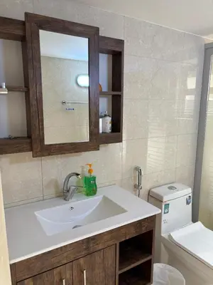 a bathroom with a sink and a mirror and a toilet at Modern 2BR in Trendy Jabal AlWebdeh with View in Amman