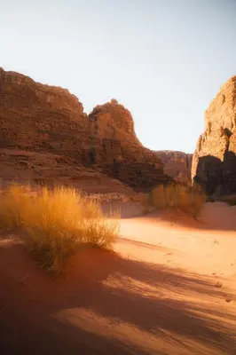 a view of a desert with rocks and grass at Wadi Rum Sunrise Guesthouse in Wadi Rum