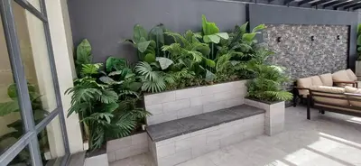 a living room with plants on a wall at LV Spring Water Resort in Mukāwir
