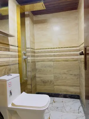 a bathroom with a toilet and a shower at Bedouin House in Jurf ad Darāwīsh