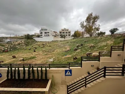 a group of animals grazing on a hill with buildings at Luxury spacious house in dabouq with parking in Amman