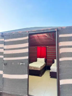 a small room with two beds and a red curtain at Desert Star Camp in Wadi Rum