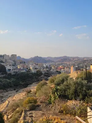 a view of a city from a hill at Petra Masterpiece in Wadi Musa