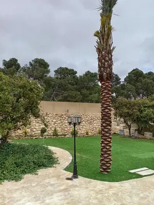 a palm tree next to a light in a park at Munifah Grand Hills Chalet and Farm in Jurf ad Darāwīsh