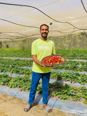 a man holding a plate of strawberries in a field at ام القطين لونج in Umm al Qiţţayn